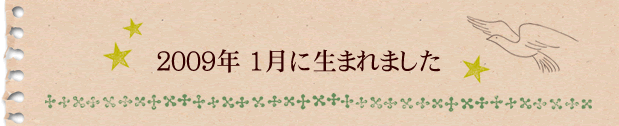 2009年1月に生まれました