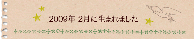 2009年2月に生まれました