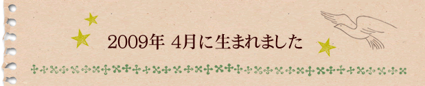 2009年4月に生まれました