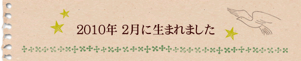 2010年2月に生まれました