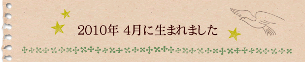 2010年4月に生まれました