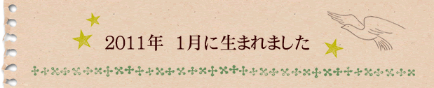 2011年1月に生まれました