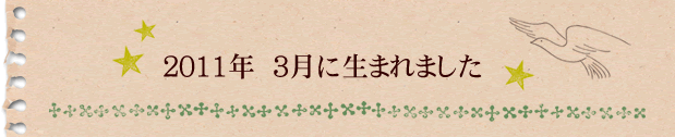 2011年3月に生まれました