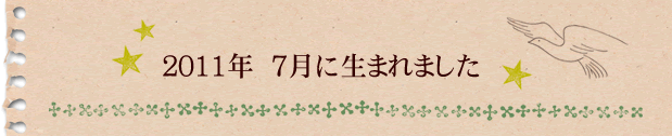 2011年7月に生まれました