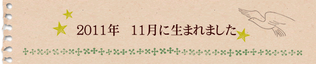 2011年11月に生まれました