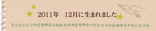 2011年12月に生まれました