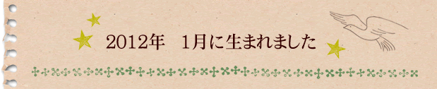 2012年1月に生まれました