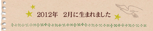 2012年2月に生まれました