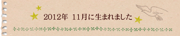 2012年11月に生まれました