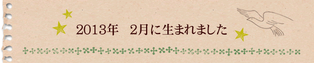 2013年2月に生まれました