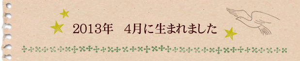 2013年4月に生まれました