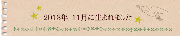 2013年11月に生まれました