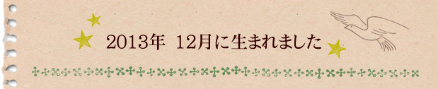 2013年12月に生まれました