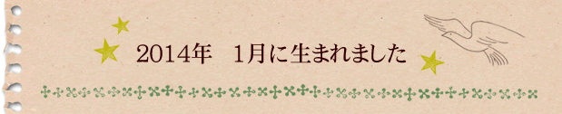 2014年1月に生まれました