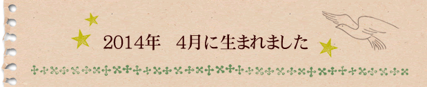 2014年4月に生まれました