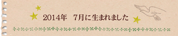 2014年7月に生まれました