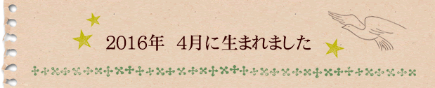 2016年4月に生まれました