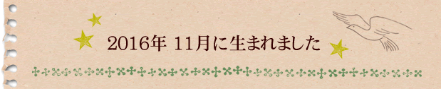 2016年11月に生まれました