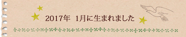 2017年1月に生まれました