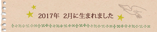 2017年2月に生まれました