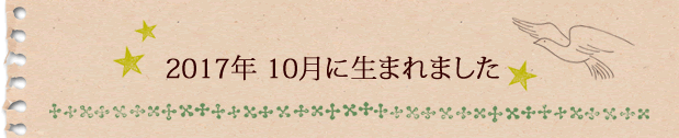 2017年10月に生まれました