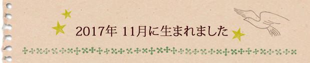 2017年12月に生まれました