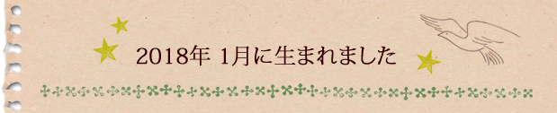 2018年1月に生まれました