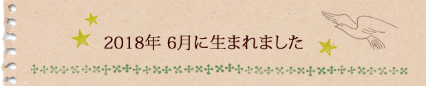 2018年6月に生まれました