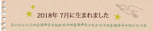 2018年7月に生まれました