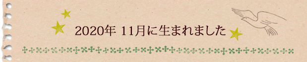 2020年10月に生まれました