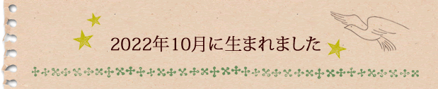 2022年10月に生まれました