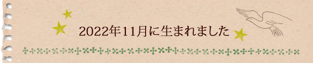 2022年11月に生まれました