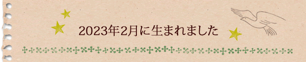 2023年2月に生まれました