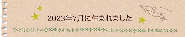 2023年7月に生まれました