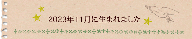 2023年11月に生まれました