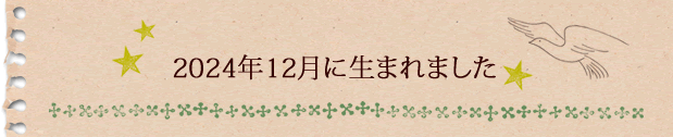 2024年12月に生まれました