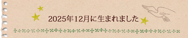 2025年12月に生まれました